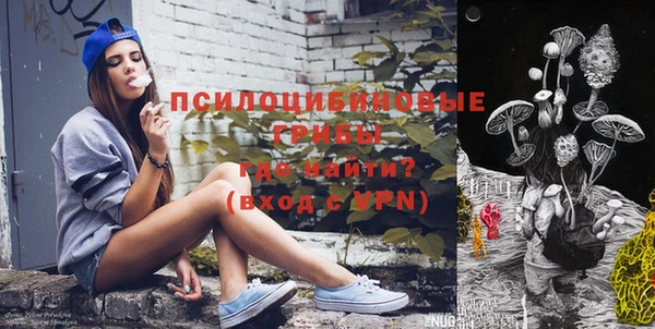 стаф Вязьма