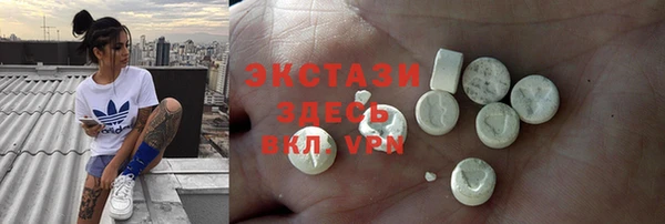 стаф Вязьма
