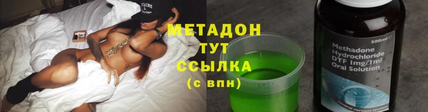 стаф Вязьма