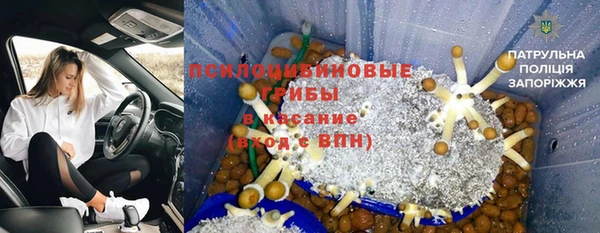 стаф Вязьма