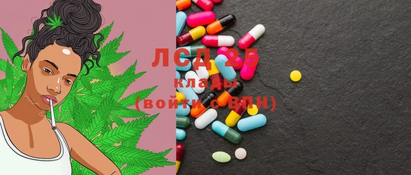 стаф Вязьма