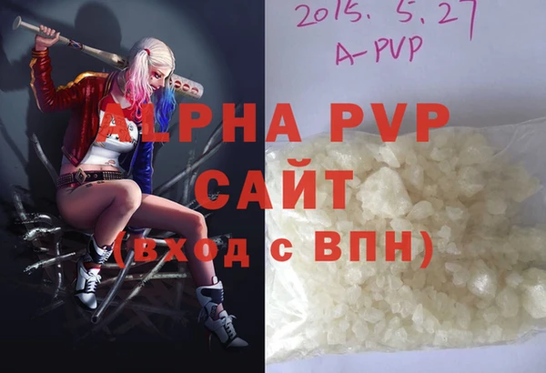 стаф Вязьма