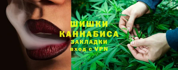 стаф Вязьма