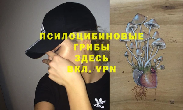 мет Вяземский