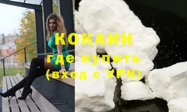 стаф Вязьма