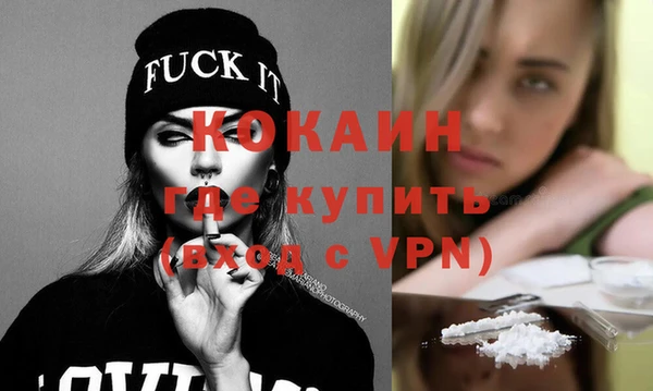стаф Вязьма